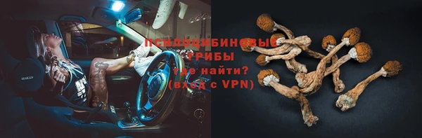 гашик Алзамай