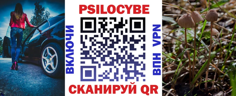 blacksprut ссылка  Талдом  Псилоцибиновые грибы MAGIC MUSHROOMS  купить закладку 